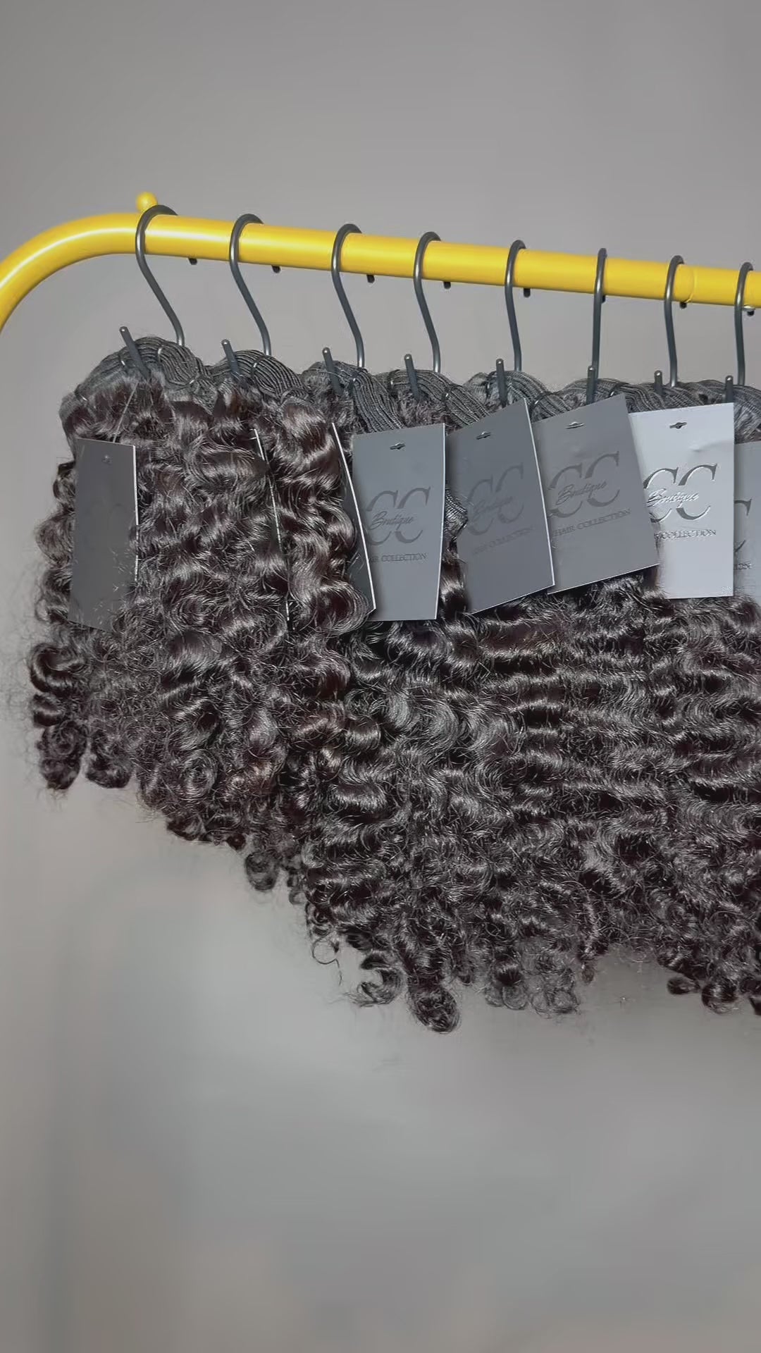 Burmese Curly